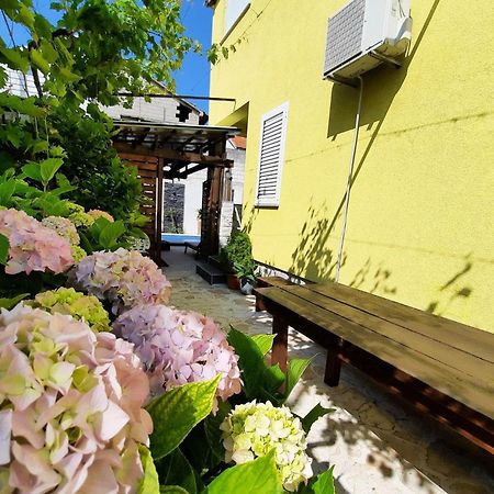 Apartment Rustica Zadar With Exclusive Use Of The Pool-Ground Floor 外观 照片