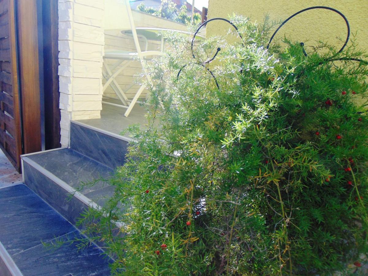 Apartment Rustica Zadar With Exclusive Use Of The Pool-Ground Floor 外观 照片